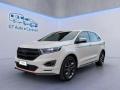 usato FORD Edge