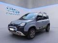 usato FIAT Panda Cross