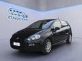 usato FIAT Punto