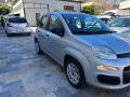 usato FIAT Panda