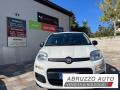 usato FIAT Panda