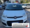 usato FIAT Panda