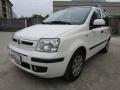usato FIAT Panda
