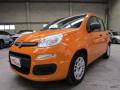 usato FIAT Panda