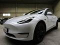 usato TESLA Model Y