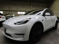 usato TESLA Model Y