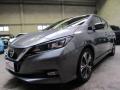 usato NISSAN Leaf