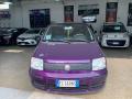 usato FIAT Panda