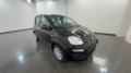 Km 0 FIAT Panda