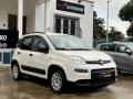usato FIAT Panda