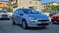 usato FIAT Punto