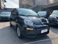 usato FIAT Panda