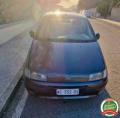 usato FIAT Punto