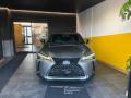 usato LEXUS UX 250h