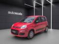usato FIAT Panda