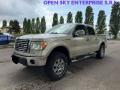 usato FORD F 150
