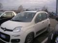 usato FIAT Panda