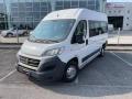 usato FIAT Ducato
