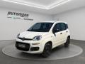 usato FIAT Panda