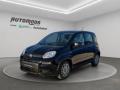 usato FIAT Panda