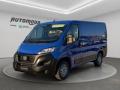 usato FIAT Ducato