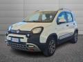 usato FIAT Panda