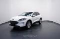 usato FORD Kuga