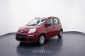 usato FIAT Panda