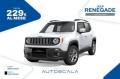 usato JEEP Renegade