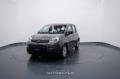 usato FIAT New Panda