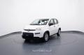 usato FIAT New Panda