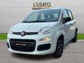 usato FIAT Panda