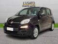 usato FIAT Panda
