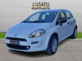 usato FIAT Punto