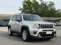 usato JEEP Renegade