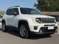 usato JEEP Renegade