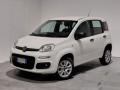 usato FIAT Panda