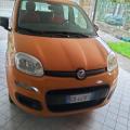 usato FIAT Panda