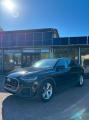 usato AUDI Q8