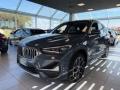 usato BMW X1