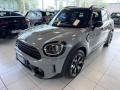 usato MINI Countryman