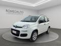 usato FIAT Panda