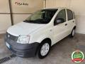 usato FIAT Panda