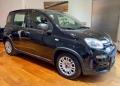 usato FIAT Panda