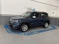 usato JEEP Renegade