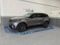 usato LAND ROVER Range Rover Velar