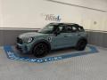 usato MINI Countryman