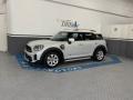 usato MINI Countryman