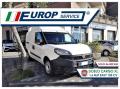 usato FIAT Doblo Cargo XL 1.6 MJT EASY 105CV SeS PL TA