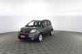 usato FIAT Panda